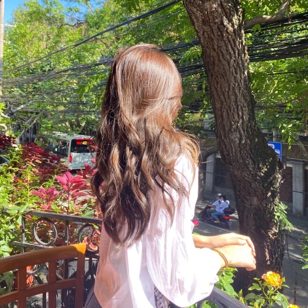 夏日春晖