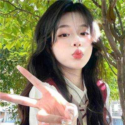 布里斯比熊